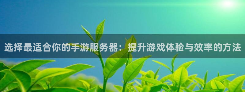 恒盛娱乐平台：选择最适合你的手游服务器：提升游戏体验与效率的