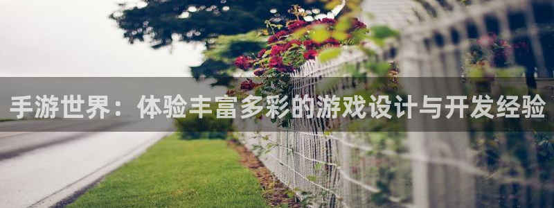 恒盛娱乐官网：手游世界：体验丰富多彩的游戏设计与开发经验