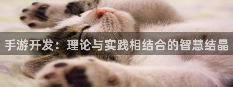 恒盛娱乐首页：手游开发：理论与实践相结合的智慧结晶