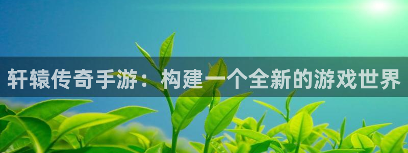 恒盛娱乐app：轩辕传奇手游：构建一个全新的游戏世界