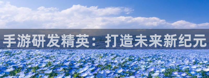 恒盛娱乐平台：手游研发精英：打造未来新纪元