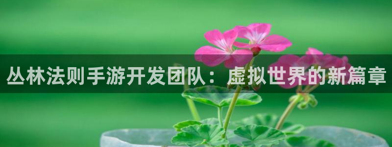 恒盛娱乐官网：丛林法则手游开发团队：虚拟世界的新篇章