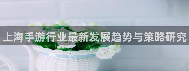 恒盛娱乐登陆：上海手游行业最新发展趋势与策略研究