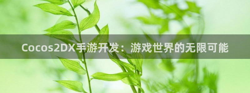 恒盛娱乐平台：Cocos2DX手游开发：游戏世界的无限可能