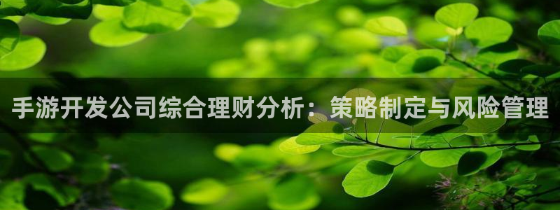 恒盛娱乐登录：手游开发公司综合理财分析：策略制定与风险管理