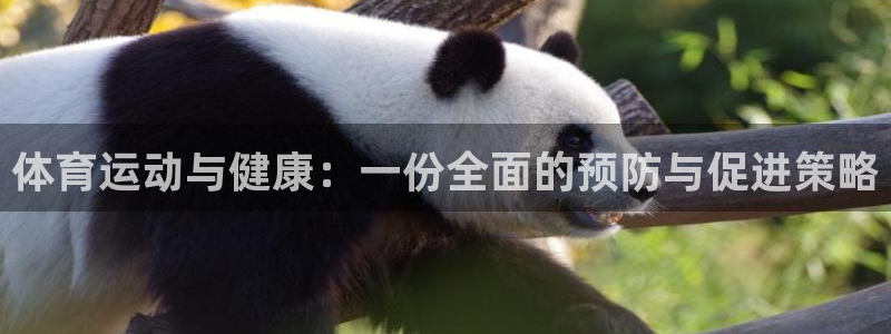 中山熊猫体育：体育运动与健康：一份全面的预防与促进策略