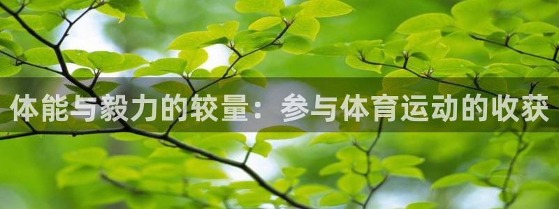 熊猫体育直播nba：体能与毅力的较量：参与体育运动的收获