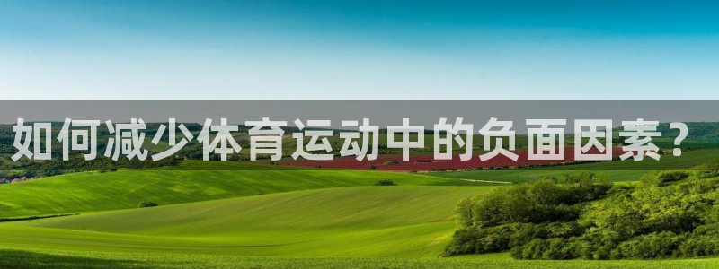 熊猫体育文化有限公司：如何减少体育运动中的负面因素？