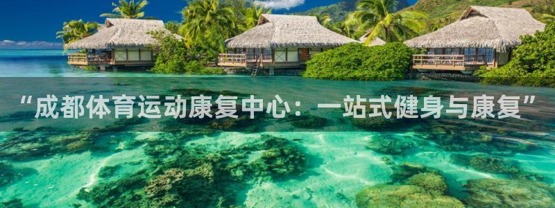 熊猫体育在线观看