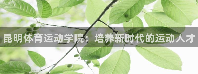 熊猫体育怎么样