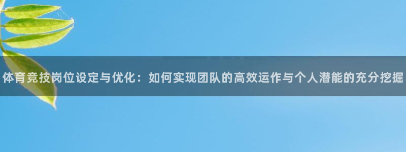 熊猫体育直播：体育竞技岗位设定与优化：如何实现团队的高效运作与个人潜能的充分挖掘