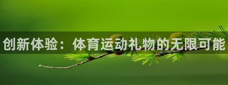 熊猫体育公园：创新体验：体育运动礼物的无限可能