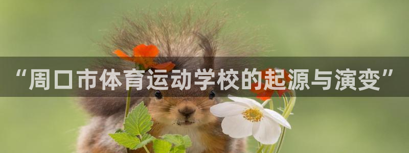 中山熊猫体育：“周口市体育运动学校的起源与演变”