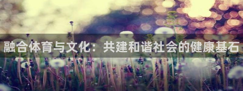熊猫体育手机版：融合体育与文化：共建和谐社会的健康基石